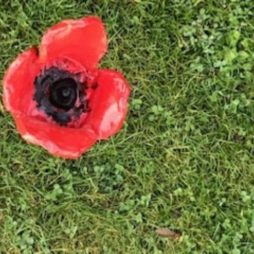 poppy 5